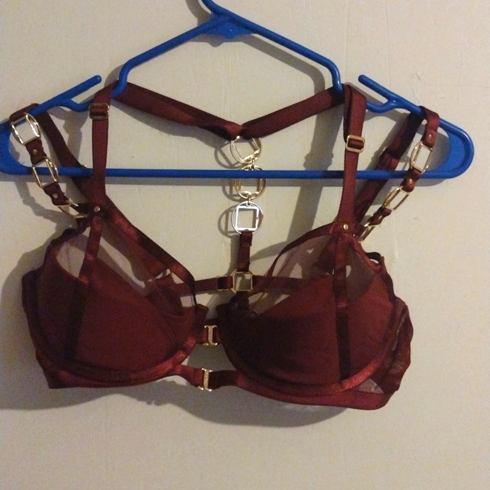 Honey Birdette Bondage bra 34DDD